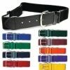 Baseline Sportss Baseball Belt North Toronto Portal